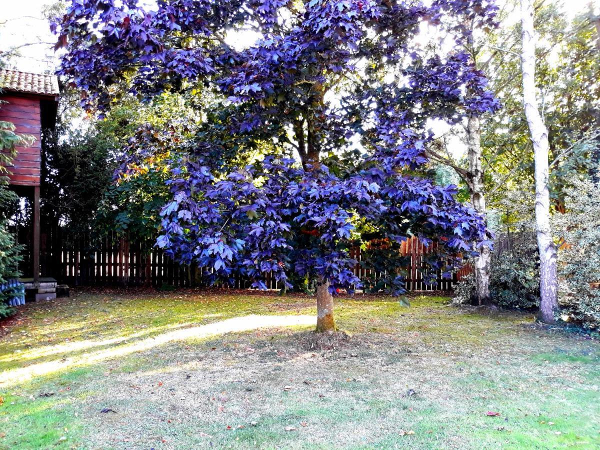 Country Home Tara Rathfeigh Exterior foto